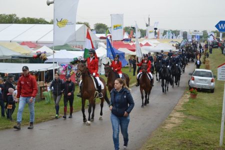 Lejtőn vagy kaptatón