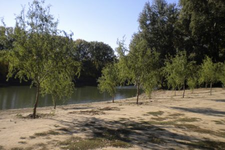 Zöldár sodorhatja el a tiszai strandszezont