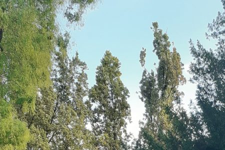 50 000 lépés a Holdon Teljesítménytúra