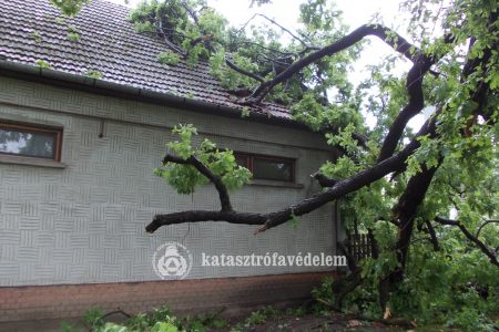Épületre és villanyvezetékre szakadt egy faág Székkutason