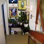 Csengettyű közi lakások 18