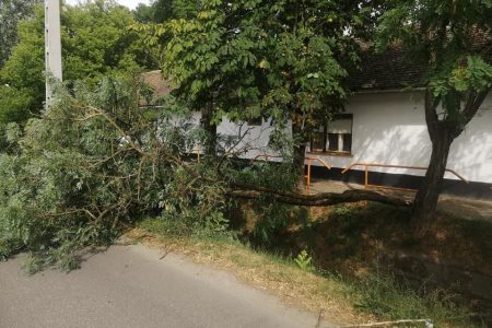 Vasárnap kora estig több mint ötszáz esethez riasztották a tűzoltókat