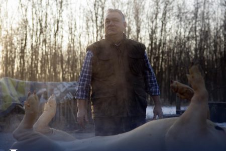 ,,Ippon” – elintézett egy öttömösi malacot Orbán Viktor