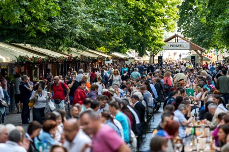 Pénteken a borászok 10 napra ismét Szegedre költöznek