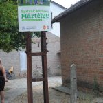 Mártély időközi választás 20220807 (23)