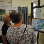 N. Sebestyén Katalin (5)