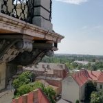 310690134_439296995012726_9221169478549746983_n