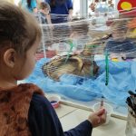 Klímanócskák (25)