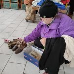 Ételosztás a visszhang utcai olvasókörben (2)