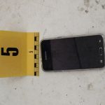 Földből nőtt kincsek (10)