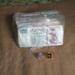 Földből nőtt kincsek (3)