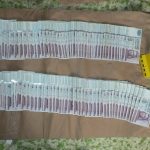 Földből nőtt kincsek (5)