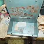 Földből nőtt kincsek (6)