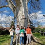 343173697_159951227020726_4113716773041354512_n