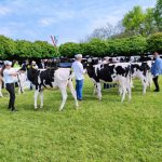 Állattenyésztési kiállítás és vásár (104)