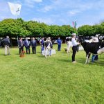 Állattenyésztési kiállítás és vásár (105)