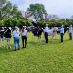 Állattenyésztési kiállítás és vásár (106)