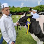 Állattenyésztési kiállítás és vásár (107)