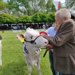 Állattenyésztési kiállítás és vásár (108)