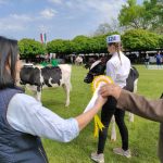 Állattenyésztési kiállítás és vásár (111)