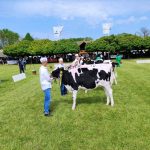 Állattenyésztési kiállítás és vásár (114)