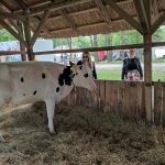 Állattenyésztési kiállítás és vásár (13)