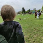 Állattenyésztési kiállítás és vásár (132)