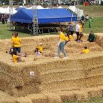 Állattenyésztési kiállítás és vásár (135)