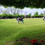 Állattenyésztési kiállítás és vásár (15)