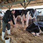 Állattenyésztési kiállítás és vásár (19)