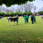 Állattenyésztési kiállítás és vásár (20)