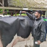 Állattenyésztési kiállítás és vásár (24)