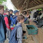 Állattenyésztési kiállítás és vásár (57)