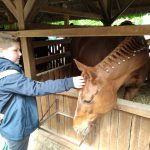 Állattenyésztési kiállítás és vásár (65)