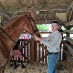 Állattenyésztési kiállítás és vásár (67)