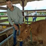 Állattenyésztési kiállítás és vásár (69)