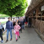 Állattenyésztési kiállítás és vásár (7)