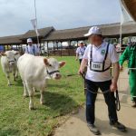 Állattenyésztési kiállítás és vásár (75)