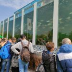 Állattenyésztési kiállítás és vásár (83)