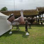 Állattenyésztési kiállítás és vásár (88)