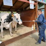 Állattenyésztési kiállítás és vásár (93)