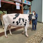 Állattenyésztési kiállítás és vásár (94)