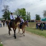 Állattenyésztési kiállítás és vásár (97)