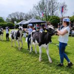 Állattenyésztési kiállítás és vásár (99)