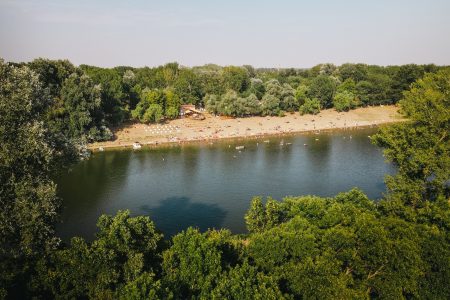 Központi szúnyoggyérítés lesz Csongrád-Csanádban