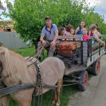 csúcsi gyereknap 2023 (77)