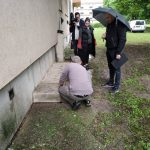 patkányirtás szabadság tér (1)