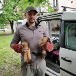 patkányirtás szabadság tér (11)