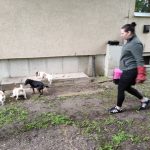 patkányirtás szabadság tér (16)