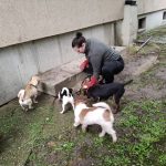 patkányirtás szabadság tér (21)